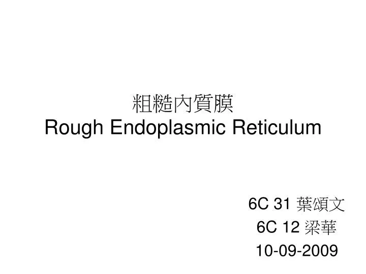rough endoplasmic reticulum