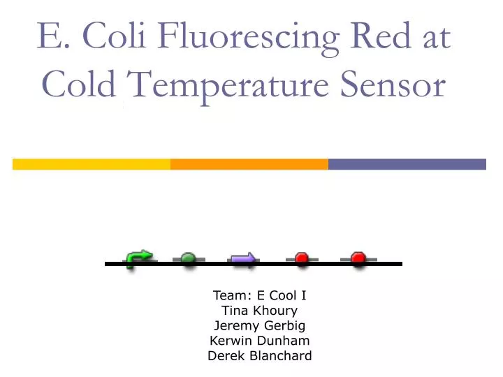 e coli fluorescing red at cold temperature sensor