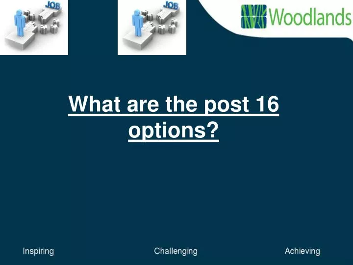 what are the post 16 options