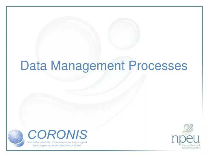 data management processes