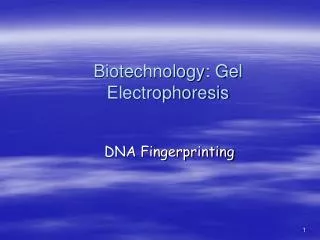 Biotechnology: Gel Electrophoresis