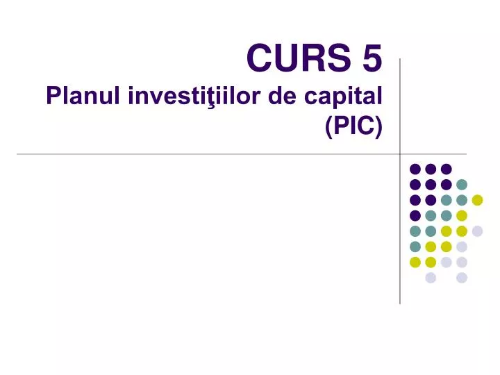 curs 5 planul investi iilor de capital pic