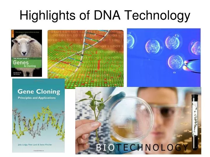highlights of dna technology