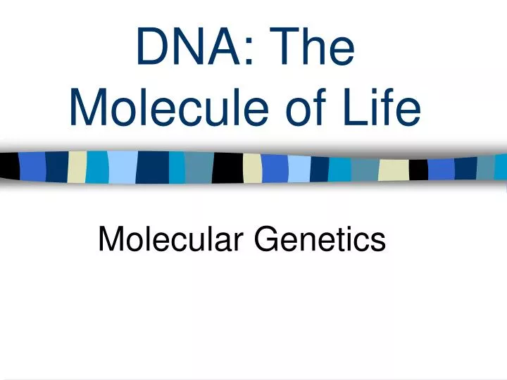 dna the molecule of life