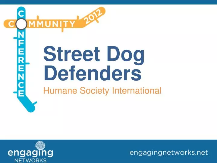 street dog defenders humane society international