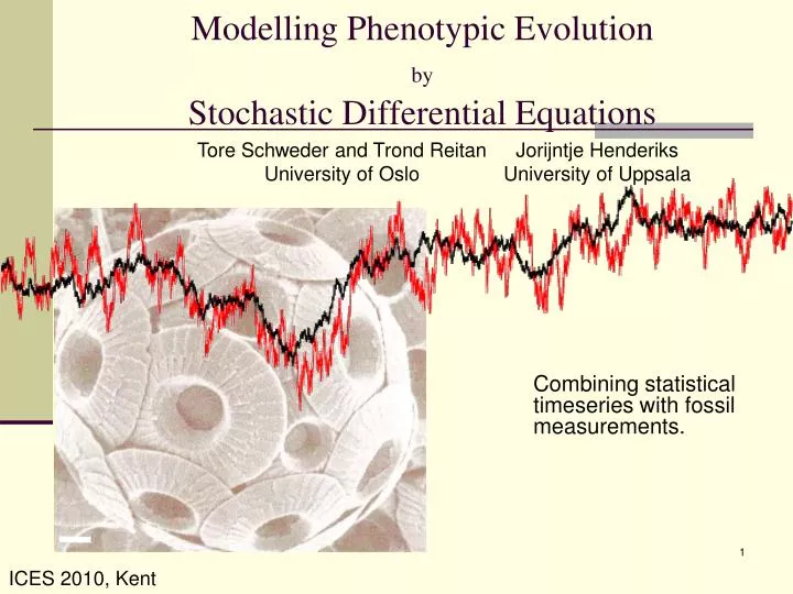 modelling phenotypic evolution by stochastic differential equations