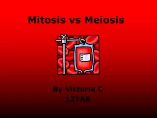 Mitosis vs Meiosis