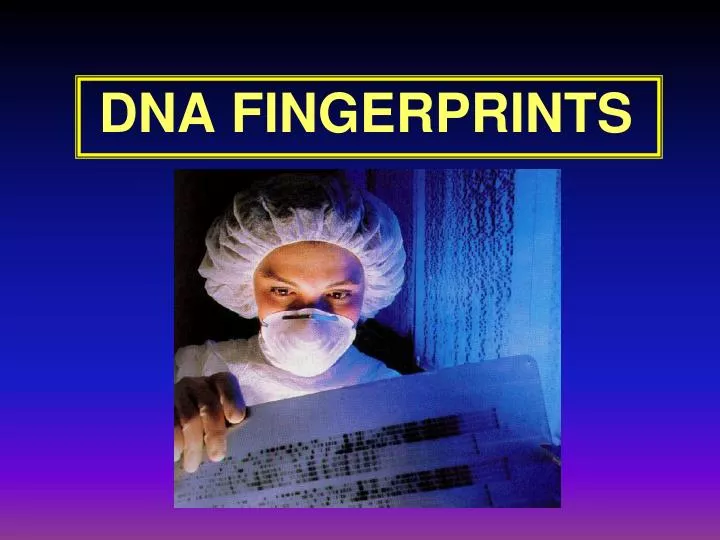 dna fingerprints