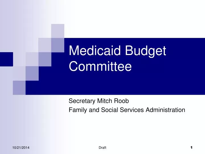 medicaid budget committee
