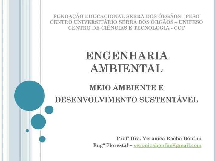 engenharia ambiental meio ambiente e desenvolvimento sustent vel