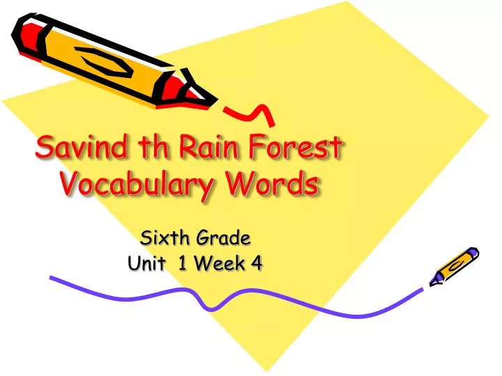 savind th rain forest vocabulary words