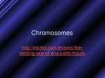 Chromosomes - slide 1