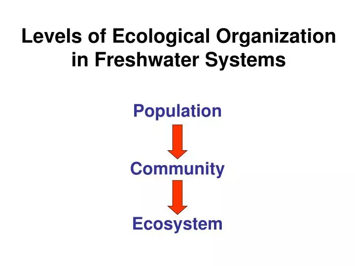 levels of ecological organization in freshwater systems