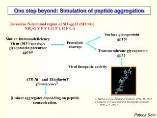One step beyond: Simulation of peptide aggregation