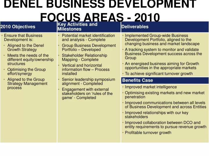 denel business development focus areas 2010