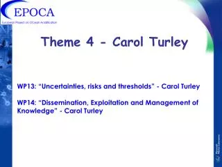 Theme 4 - Carol Turley