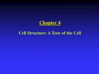 Chapter 4 Cell Structure: A Tour of the Cell