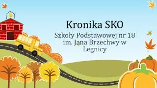 kronika sko