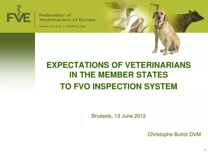 expectations of veterinarians in the member states to fvo inspection system brussels 13 june 2012