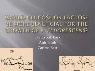 Would glucose or lactose be more beneficial for the growth of P. fluorescens ?