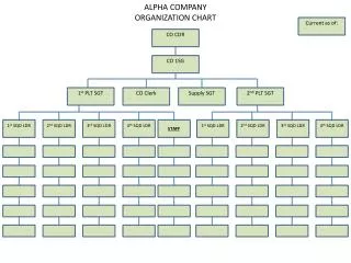 ALPHA COMPANY ORGANIZATION CHART