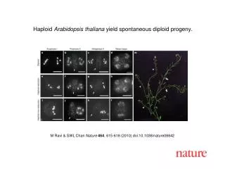 M Ravi &amp; SWL Chan Nature 464 , 615-618 (2010) doi:10.1038/nature08842