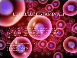 le cellule staminali