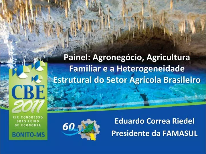 painel agroneg cio agricultura familiar e a heterogeneidade estrutural do setor agr cola brasileiro