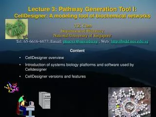 Content CellDesigner overview