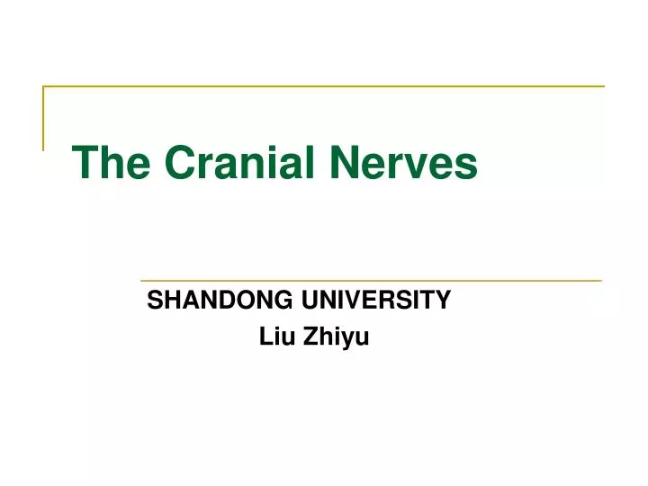 the cranial nerves