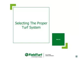 Selecting The Proper Turf System