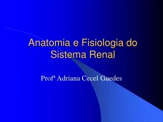 anatomia e fisiologia do sistema renal