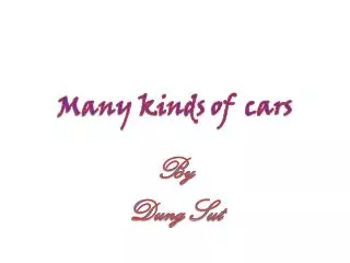 Many kinds of cars