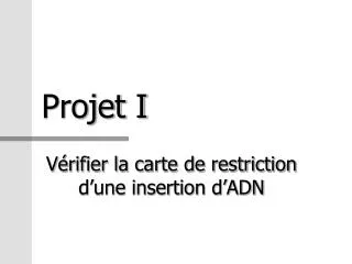 projet i