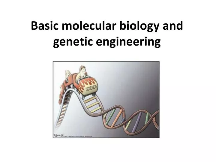 basic molecular biology and genetic engineering