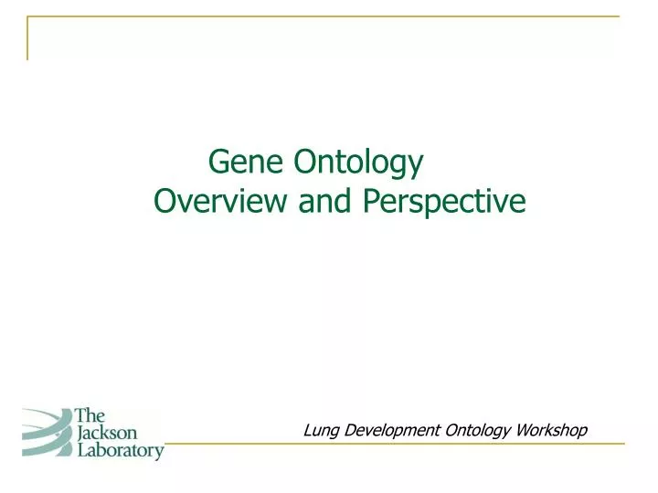 gene ontology overview and perspective