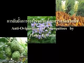 anti oviposition of mosquitoes by plant extracts
