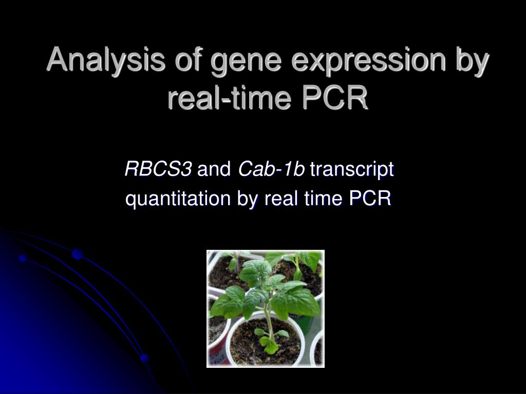 PPT - Analysis of gene expression by real-time PCR PowerPoint ...