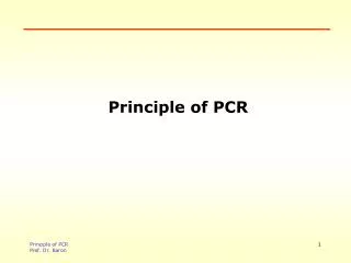 Principle of PCR