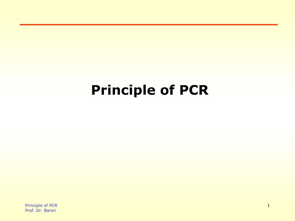 PPT - Principle of PCR PowerPoint Presentation, free download - ID:5708301