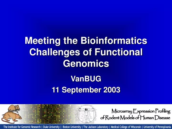 meeting the bioinformatics challenges of functional genomics