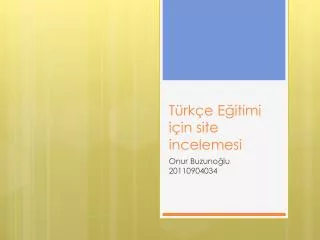 t rk e e itimi i in site incelemesi