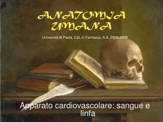 anatomia umana