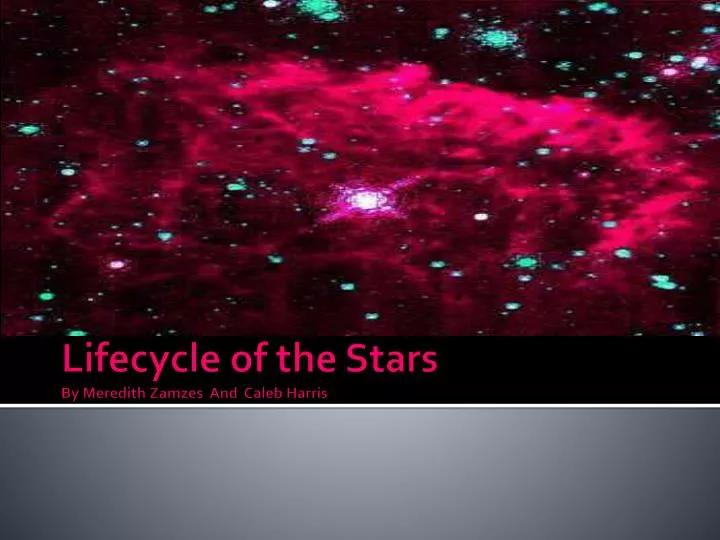lifecycle of the stars by meredith zamzes and caleb harris