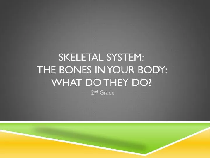 skeletal system the bones in your body what do they do