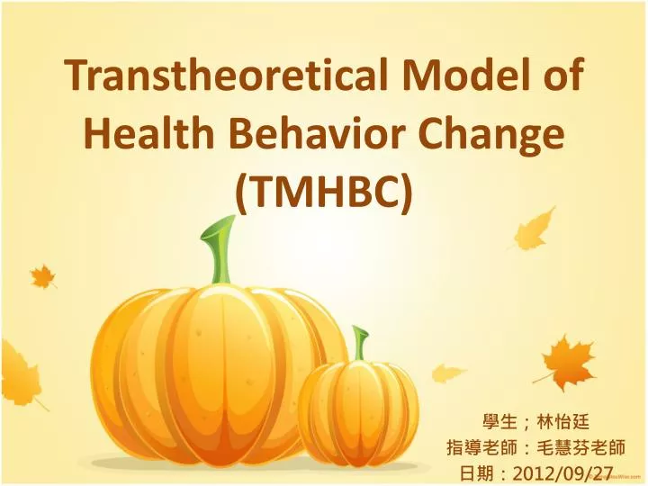 transtheoretical model of health behavior change tmhbc