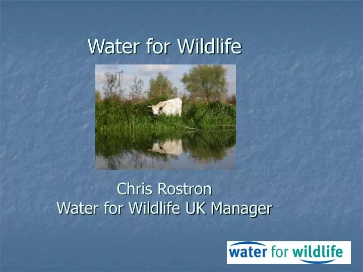 water for wildlife chris rostron water for wildlife uk manager