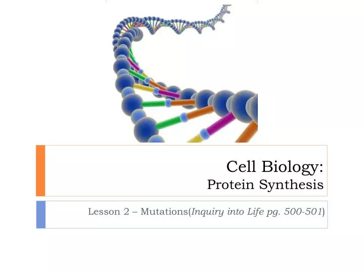 cell biology protein synthesis