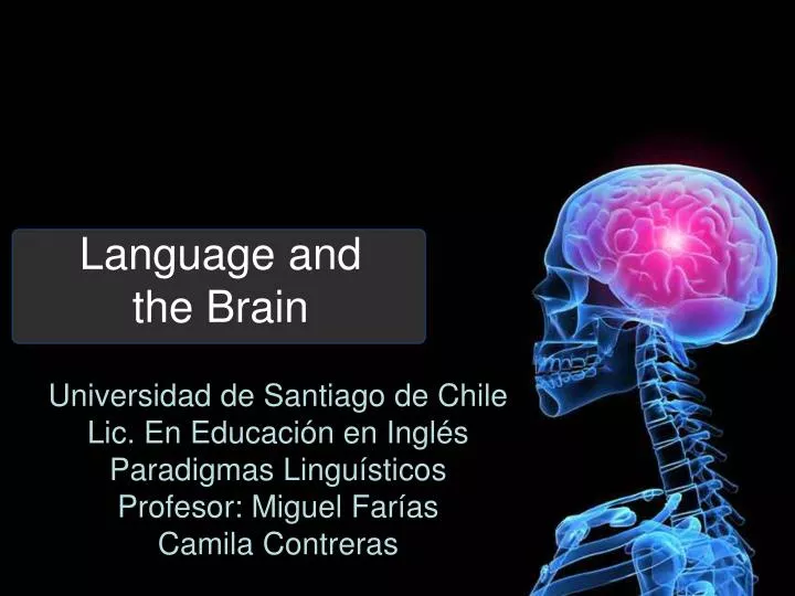 language and the brain