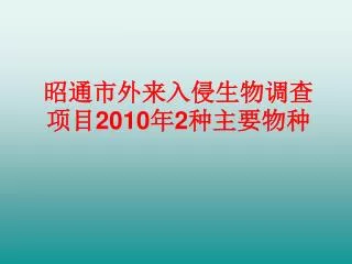 2010 2